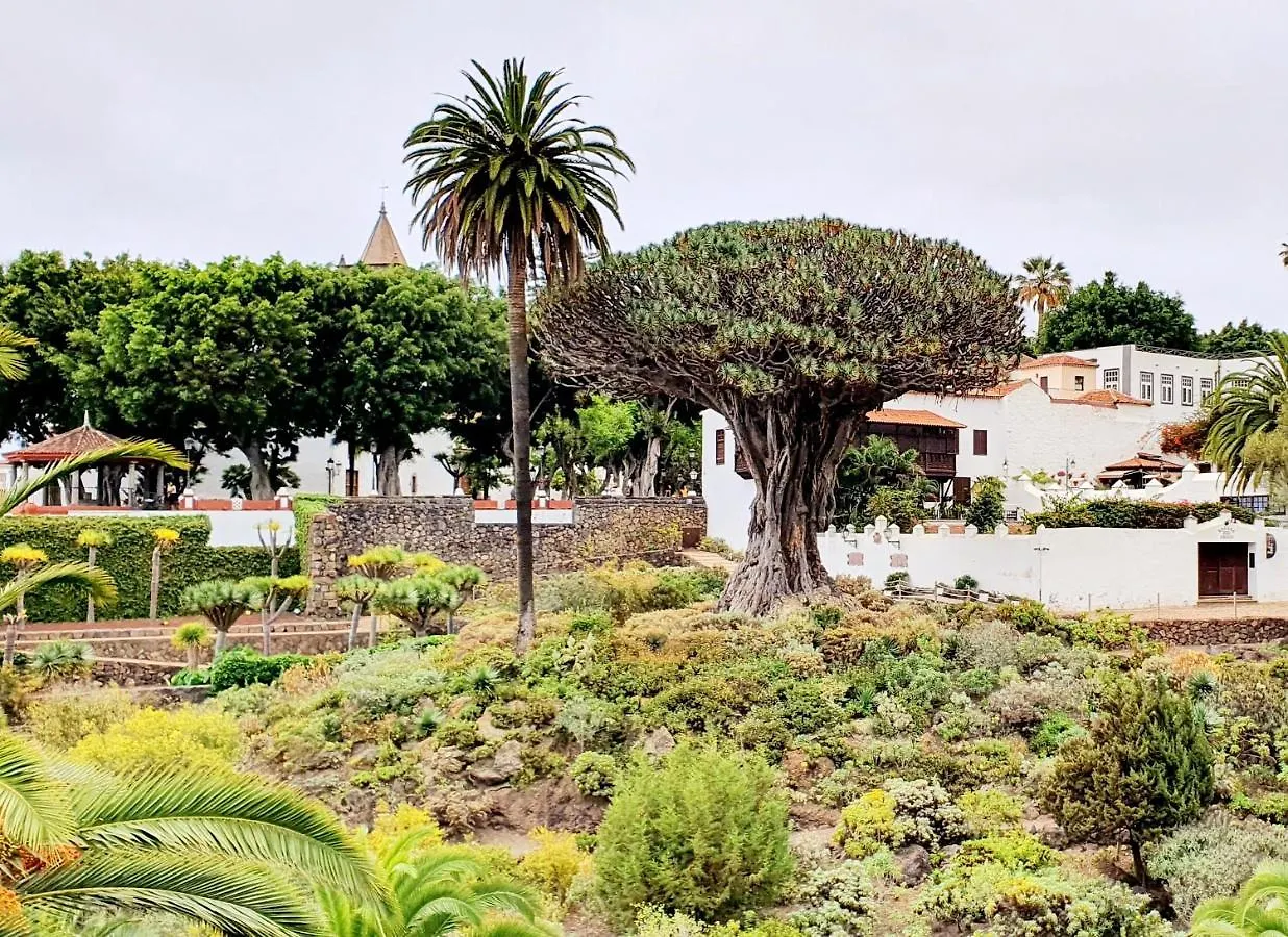 Estudio Playa Las Vistas, Las Americas Arona  Apartment